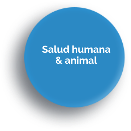 Icono en que se lee: Salud humana y animal
